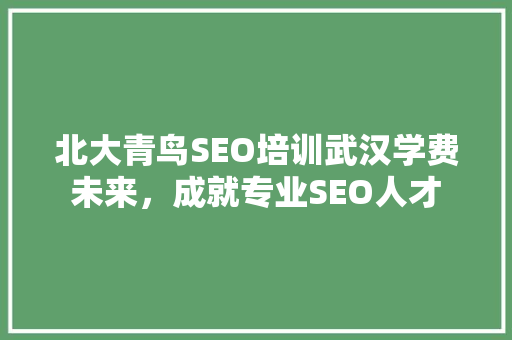 北大青鸟SEO培训武汉学费未来，成就专业SEO人才