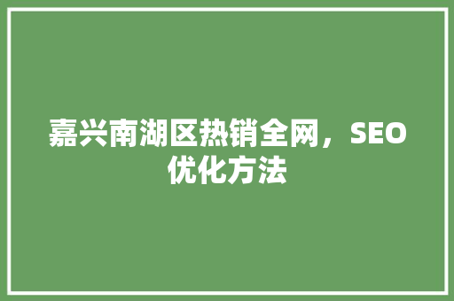 嘉兴南湖区热销全网，SEO优化方法