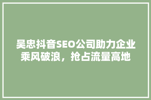 吴忠抖音SEO公司助力企业乘风破浪，抢占流量高地