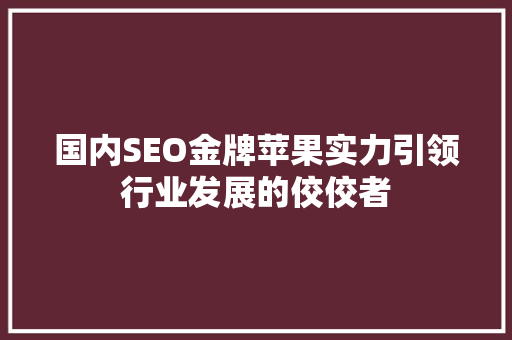 国内SEO金牌苹果实力引领行业发展的佼佼者