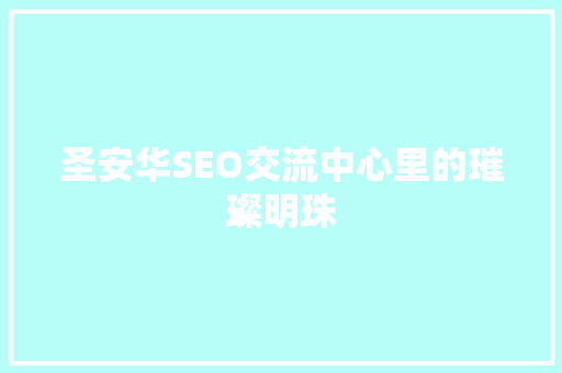 圣安华SEO交流中心里的璀璨明珠