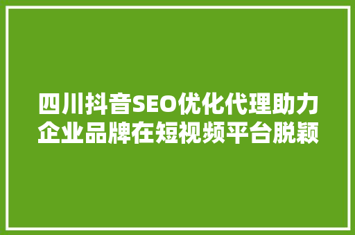 四川抖音SEO优化代理助力企业品牌在短视频平台脱颖而出