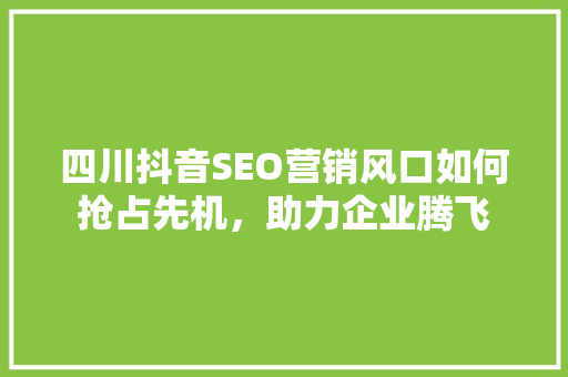 四川抖音SEO营销风口如何抢占先机，助力企业腾飞