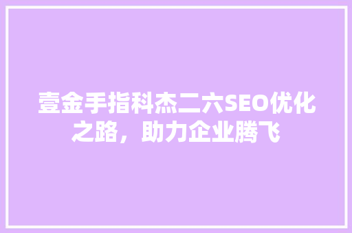 壹金手指科杰二六SEO优化之路，助力企业腾飞