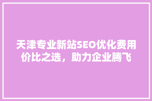 天津专业新站SEO优化费用价比之选，助力企业腾飞