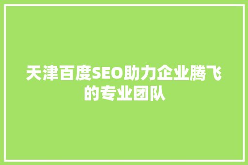 天津百度SEO助力企业腾飞的专业团队