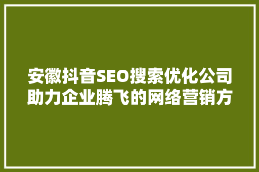 安徽抖音SEO搜索优化公司助力企业腾飞的网络营销方法