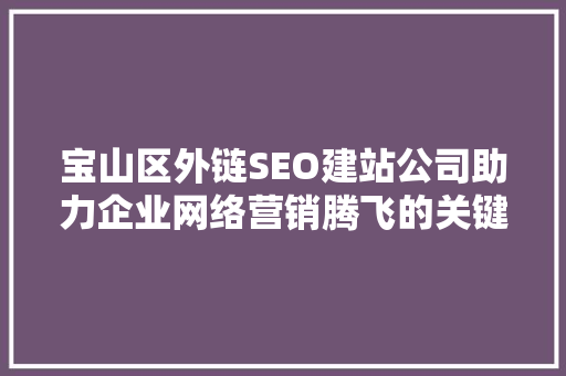 宝山区外链SEO建站公司助力企业网络营销腾飞的关键伙伴
