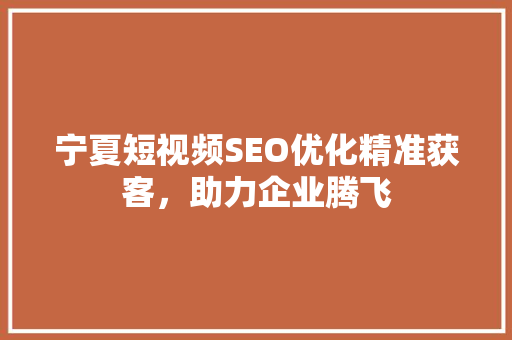 宁夏短视频SEO优化精准获客，助力企业腾飞