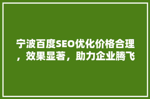 宁波百度SEO优化价格合理，效果显著，助力企业腾飞