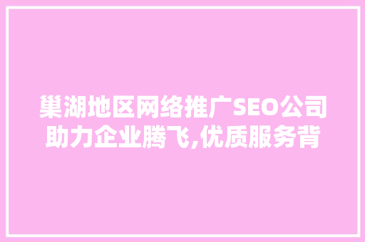 巢湖地区网络推广SEO公司助力企业腾飞,优质服务背后的秘密