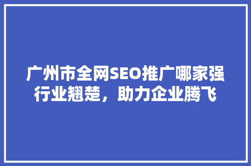 广州市全网SEO推广哪家强行业翘楚，助力企业腾飞