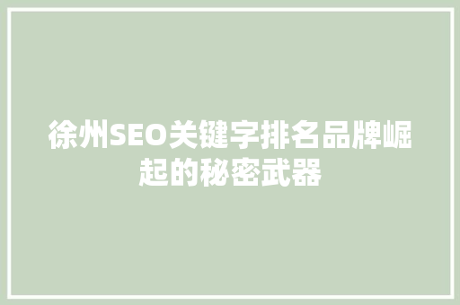 徐州SEO关键字排名品牌崛起的秘密武器