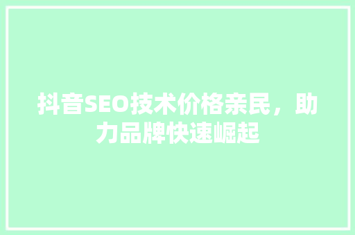 抖音SEO技术价格亲民，助力品牌快速崛起