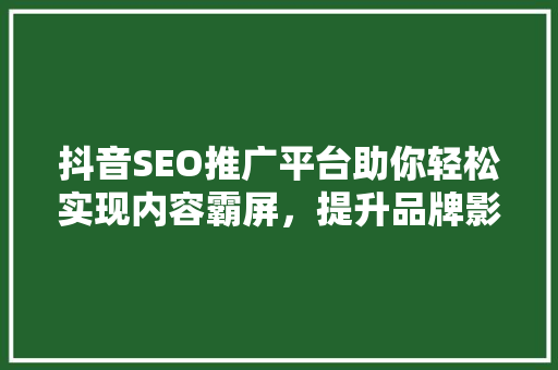 抖音SEO推广平台助你轻松实现内容霸屏，提升品牌影响力