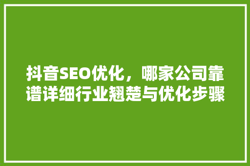 抖音SEO优化，哪家公司靠谱详细行业翘楚与优化步骤