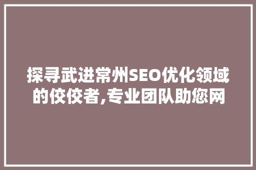 探寻武进常州SEO优化领域的佼佼者,专业团队助您网站跃居搜索引擎前列