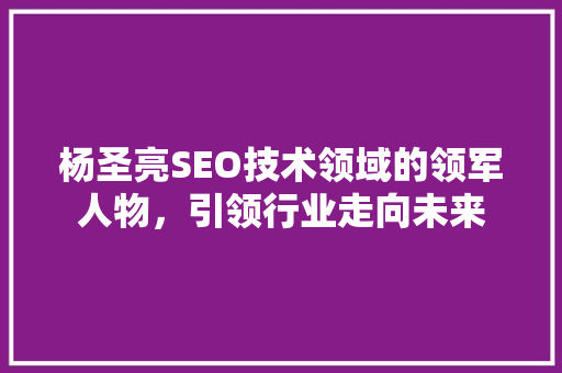 杨圣亮SEO技术领域的领军人物，引领行业走向未来