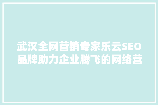 武汉全网营销专家乐云SEO品牌助力企业腾飞的网络营销之路