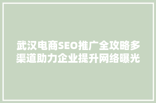 武汉电商SEO推广全攻略多渠道助力企业提升网络曝光度