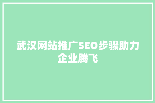 武汉网站推广SEO步骤助力企业腾飞