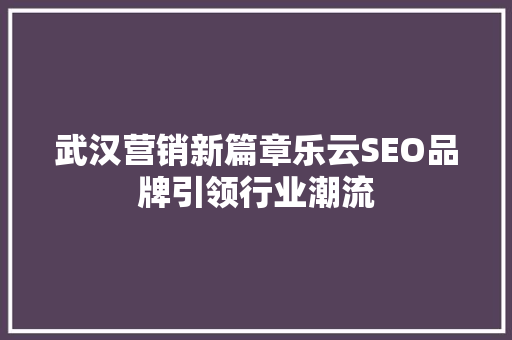 武汉营销新篇章乐云SEO品牌引领行业潮流