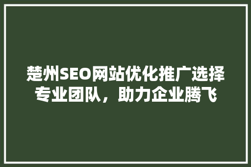 楚州SEO网站优化推广选择专业团队，助力企业腾飞