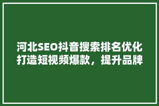 河北SEO抖音搜索排名优化打造短视频爆款，提升品牌影响力