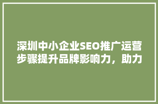 深圳中小企业SEO推广运营步骤提升品牌影响力，助力企业腾飞