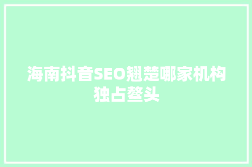 海南抖音SEO翘楚哪家机构独占鳌头