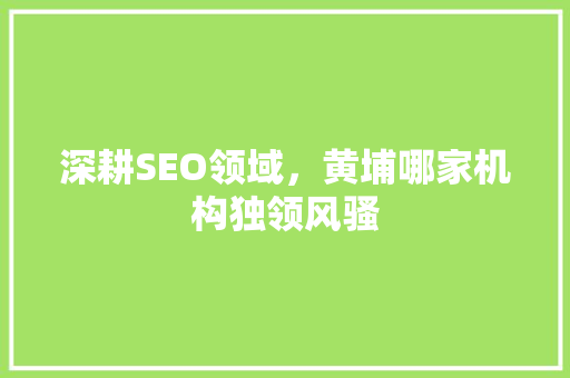 深耕SEO领域，黄埔哪家机构独领风骚