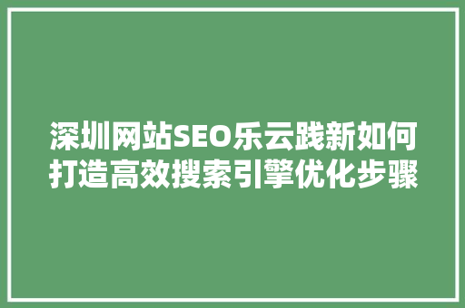 深圳网站SEO乐云践新如何打造高效搜索引擎优化步骤