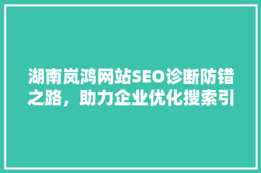 湖南岚鸿网站SEO诊断防错之路，助力企业优化搜索引擎排名