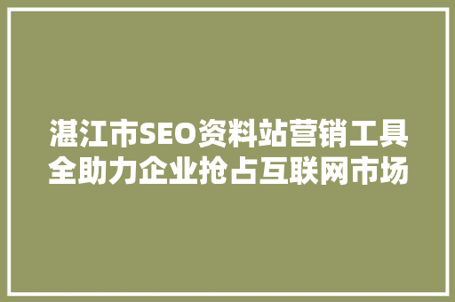 湛江市SEO资料站营销工具全助力企业抢占互联网市场先机