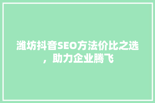 潍坊抖音SEO方法价比之选，助力企业腾飞