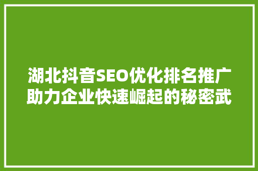 湖北抖音SEO优化排名推广助力企业快速崛起的秘密武器