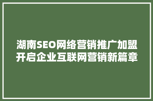 湖南SEO网络营销推广加盟开启企业互联网营销新篇章