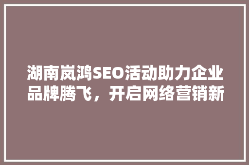 湖南岚鸿SEO活动助力企业品牌腾飞，开启网络营销新篇章