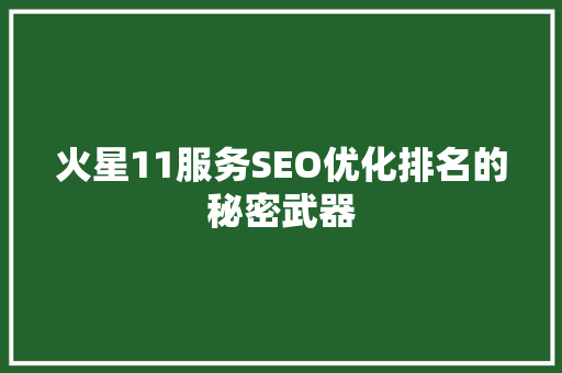 火星11服务SEO优化排名的秘密武器