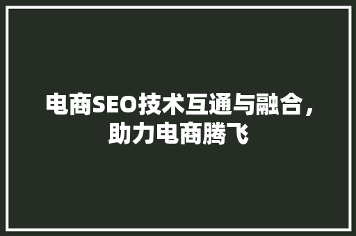 电商SEO技术互通与融合，助力电商腾飞