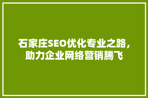 石家庄SEO优化专业之路，助力企业网络营销腾飞