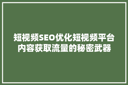 短视频SEO优化短视频平台内容获取流量的秘密武器