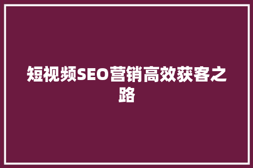 短视频SEO营销高效获客之路