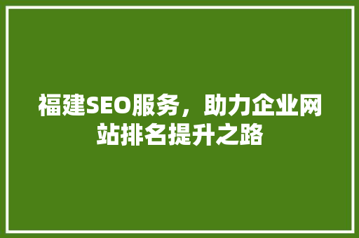 福建SEO服务，助力企业网站排名提升之路