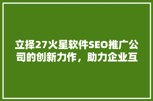立择27火星软件SEO推广公司的创新力作，助力企业互联网营销新篇章