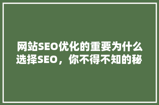 网站SEO优化的重要为什么选择SEO，你不得不知的秘密
