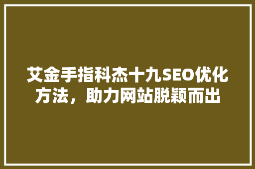 艾金手指科杰十九SEO优化方法，助力网站脱颖而出
