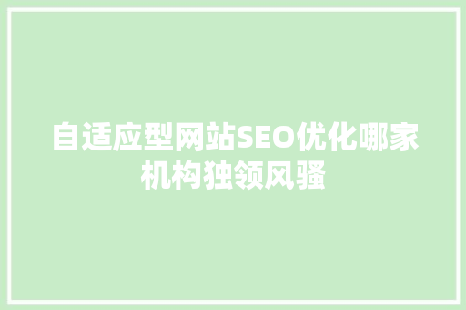 自适应型网站SEO优化哪家机构独领风骚