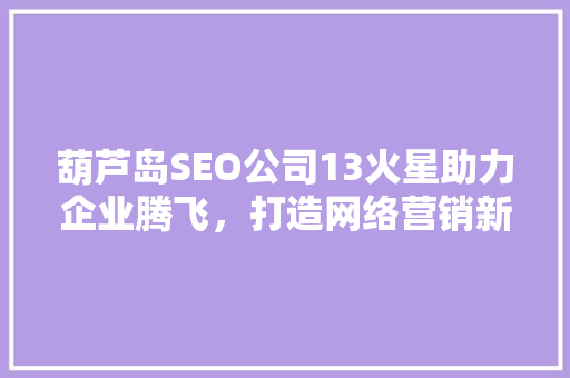 葫芦岛SEO公司13火星助力企业腾飞，打造网络营销新高度
