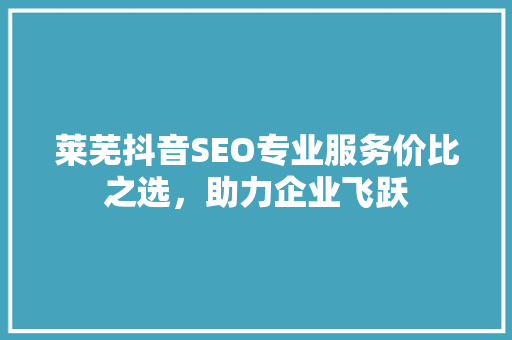 莱芜抖音SEO专业服务价比之选，助力企业飞跃